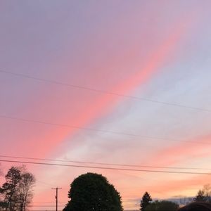 Meet your Posher, Lizzy